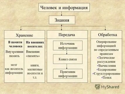 Чтение книги передача хранение обработка