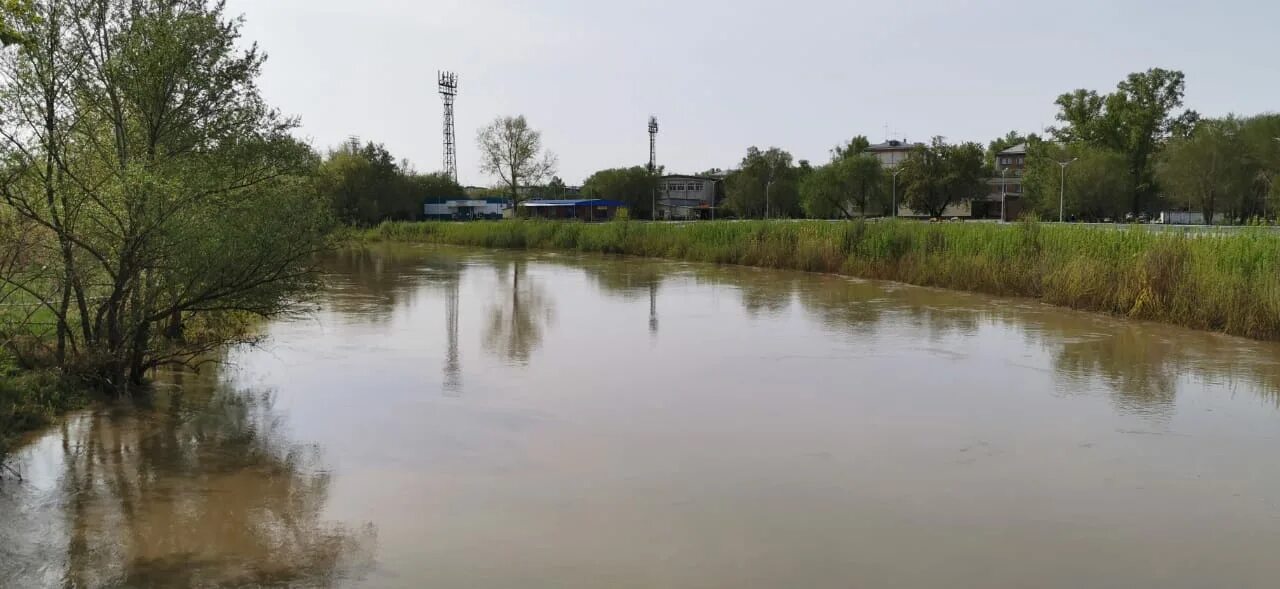 Рубцовск река алей 1960-. Дно реки алей. Фото реки алей в Рубцовске. Река алей в рубцовске