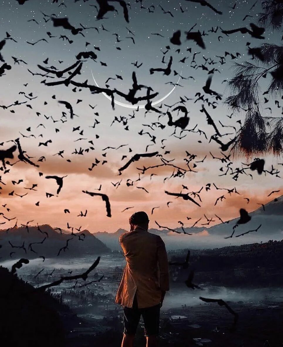 Мечта умирающего. Компания исполняющая желания умирающих. Перерождение души. Философские картинки. Мечта о смерти.