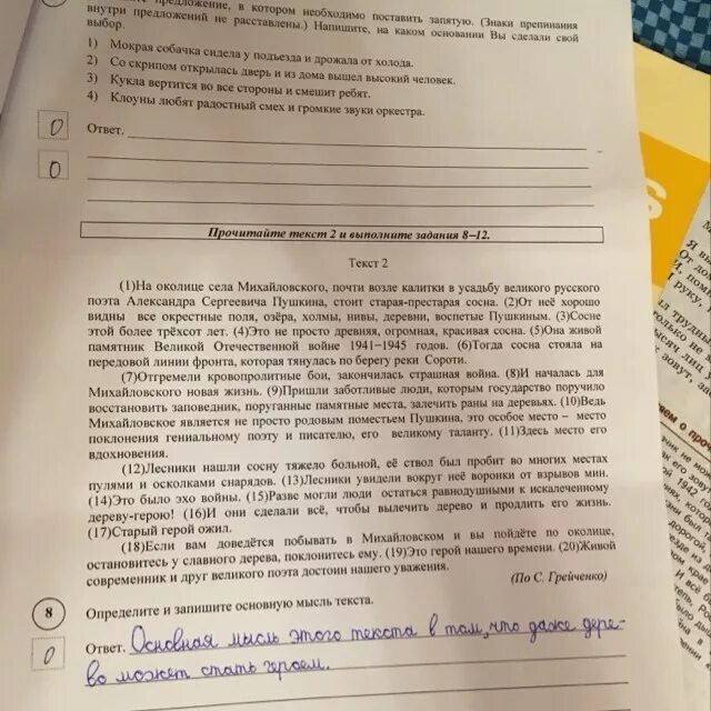 Определите и запишите основную мысль текста паустовский. Прочитайте текст и выполните задания. Определите и запишите основную мысль текста. ВПР основная мысль текста 8 класс. Прочитайте текст 2 и выполните задания 8-12.