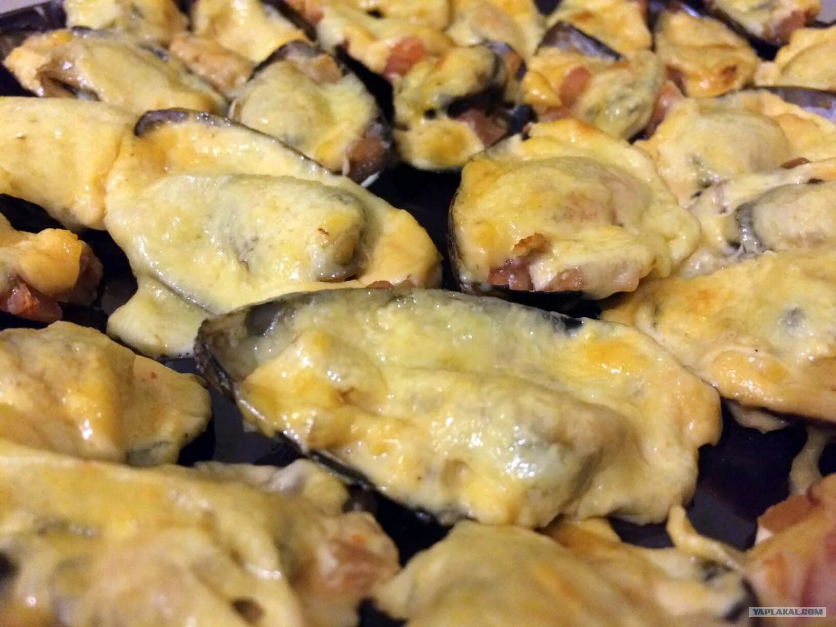 мидии киви запеченные в духовке. мидии запеченные с сыром. запечённые мидии в ракушках. очищенные мидии в духовке. очищенные мидии в духовке.