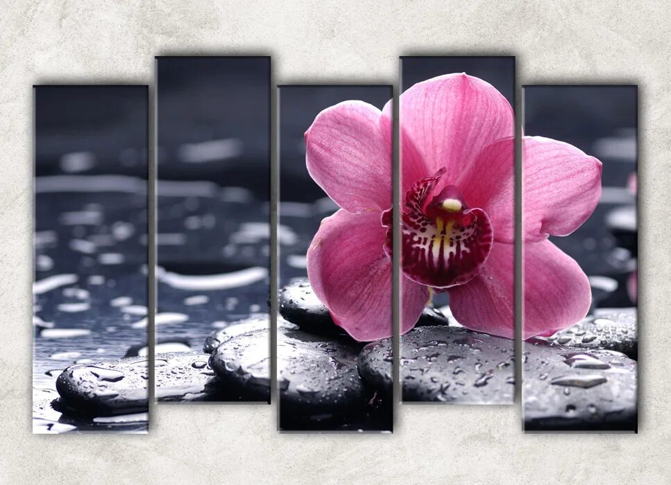 модульная картина орхидея