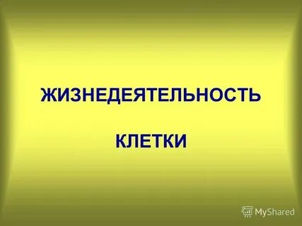 Процессы жизнедеятельности клетки 5 класс биология