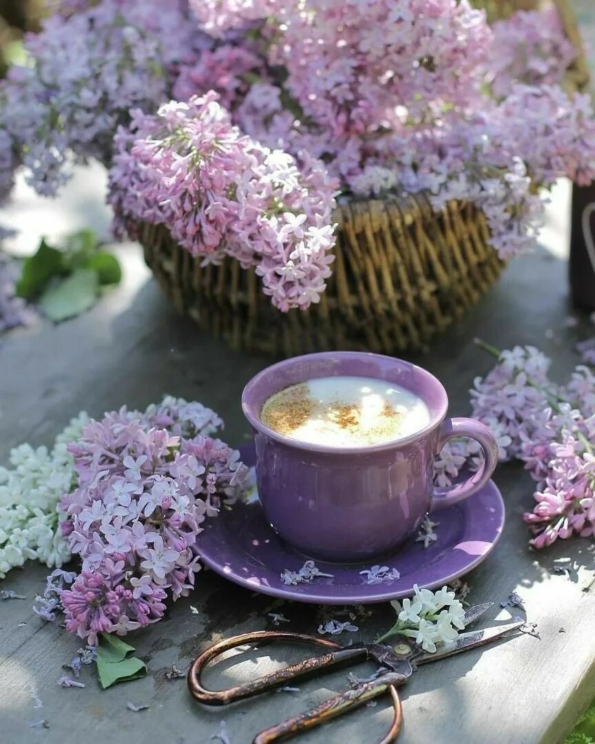 Доброго мартовского утра с цветами. Весеннее чаепитие. Доброе Весеннее утро. Цветы в чашке.