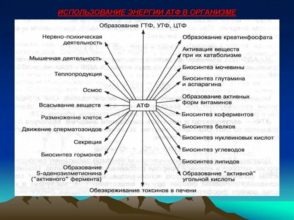 Образование энергии использование. Пути использования энергии АТФ. Пути использования АТФ В организме схема. Использование АТФ В организме. Назовите пути использования АТФ В организме..