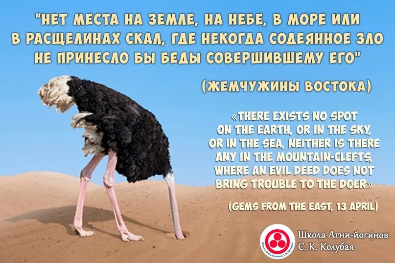 Содеянное это. Что есть зло неизбежно ли оно в жизни. содеянное.