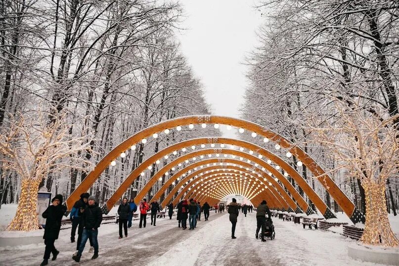Сокольники. Парк сокольники 2025. парк горького сокольники. парк сокольники москва 2025. парк сокольники зимой 2025.