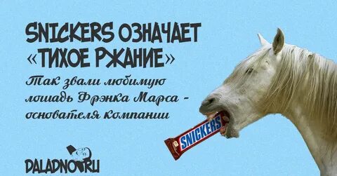 Лошадь рифма