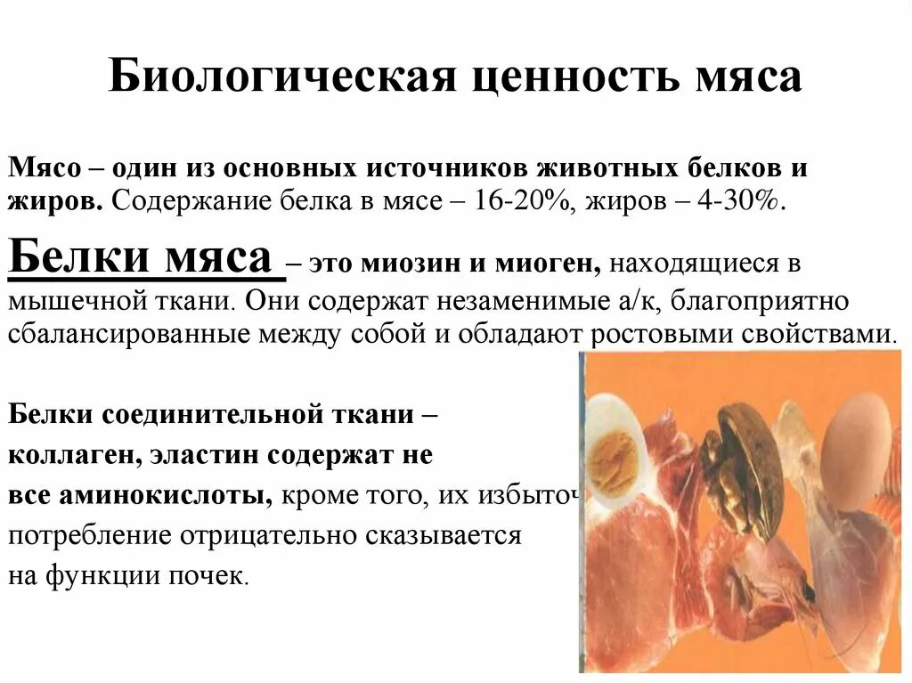 Состав белка мяса. Пищевая и биологическая ценность мяса и мясных продуктов. Пищевая и биологическая ценность мяса и мясопродуктов. Пищевая ценность мяса белки жиры. Биологическая ценность мясных продуктов.