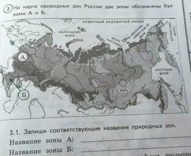 Природные зоны карта впр