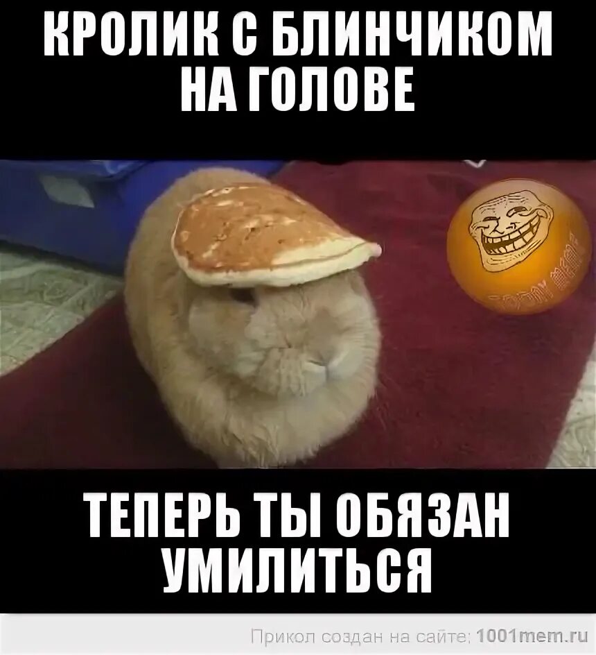 Смешные блины. Оладушек с лицом. Голова блин. Блин мем. Оладушек смешной.