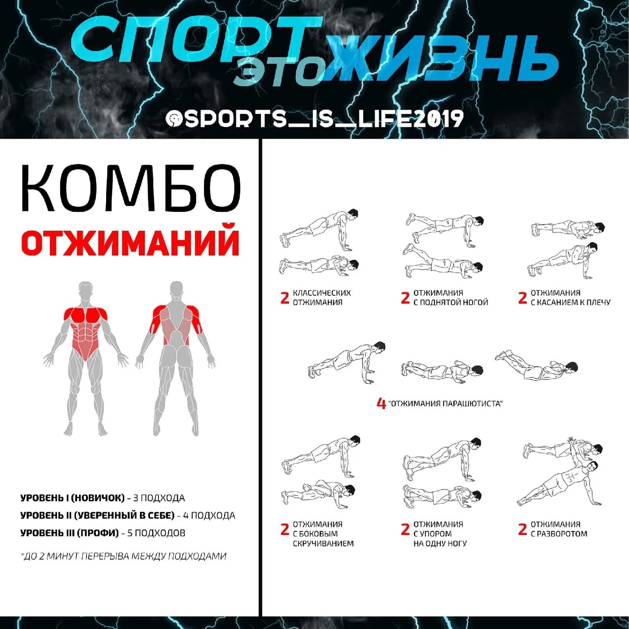 Упражнения на несколько групп мышц. Виды отжиманий. комплекс упражнений отжимания. упражнения на разные группы мышц. отжимания на разные группы мышц.