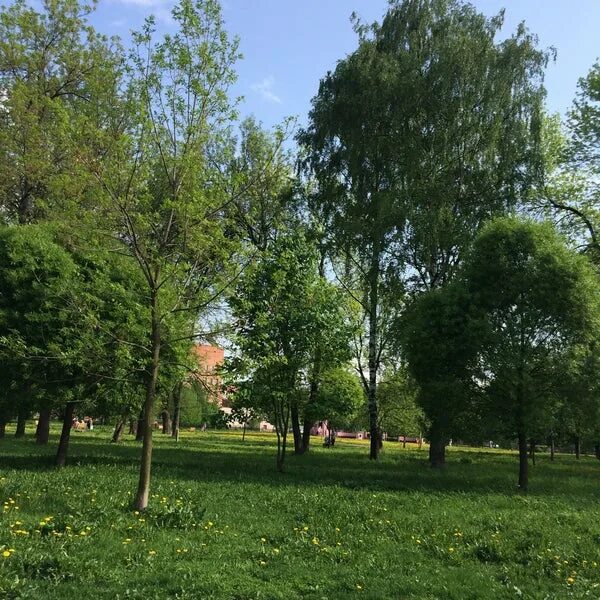 Парк ветеранов вов ярославль. Северная 36 ярославль. Угличская 40 ярославль госпиталь. Ул ветеранов ярославль. Ул ветеранов ярославль.