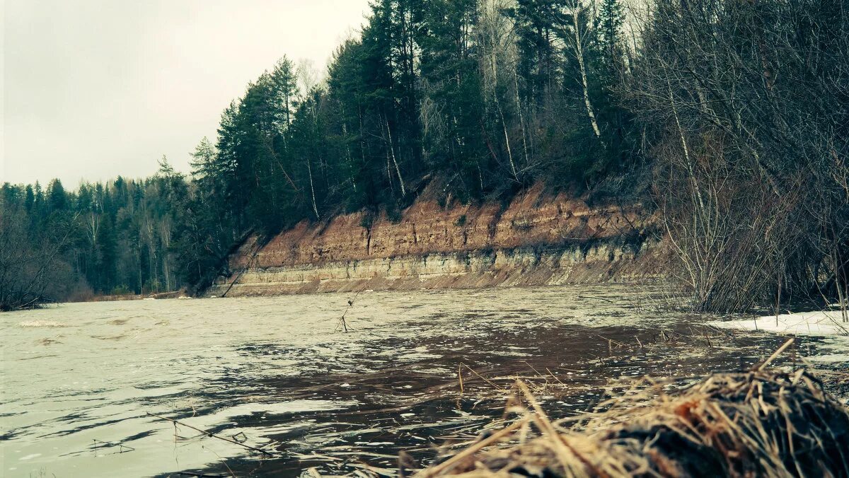 сельменьга архангельская область