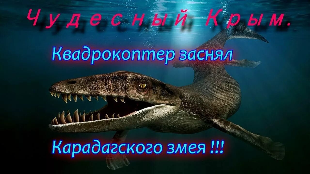 Карадагский змей Плезиозавр. Карадагское чудовище в Крыму Карадагский змей монстр. Карадагский змей в черном море. Карадагский змей 2023. Карадагские змеи в анапе