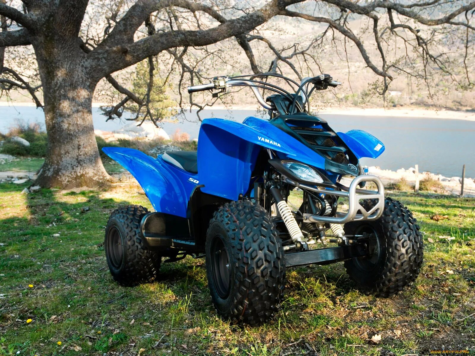 Квадроциклы АТВ 1200. Yamaha atv 50. Yamaha 2008 квадроцикл. Квадроцикл АТВ 50.