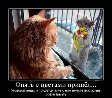 Опять прислала
