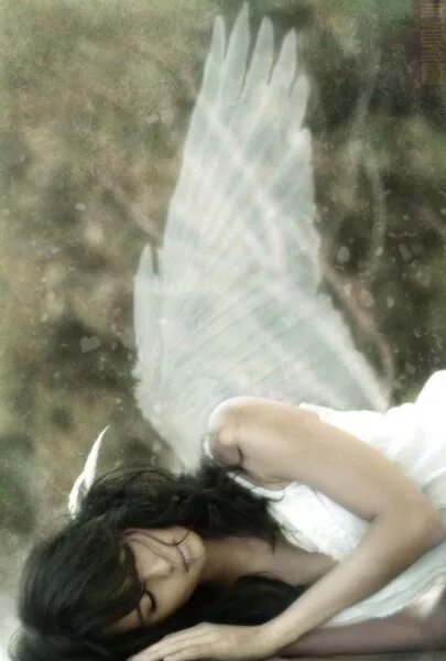 Найти сломанные крылья. Девушка ангел со сломанными крыльями. Ангел с ломаными крылями. Женщина ангел со сломанным крылом.