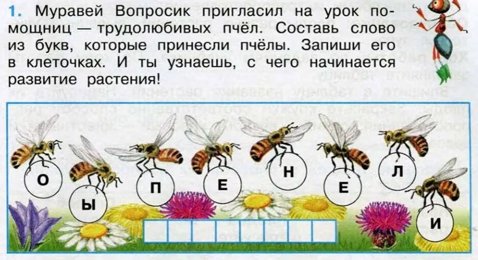 Составить слово из слова цветок. Развитие растений 3 класс. Развитие растений 3 класс окружающий мир. Муравей вопросик пригласил на урок. Размножение и развитие растений окружающий мир рабочая тетрадь.