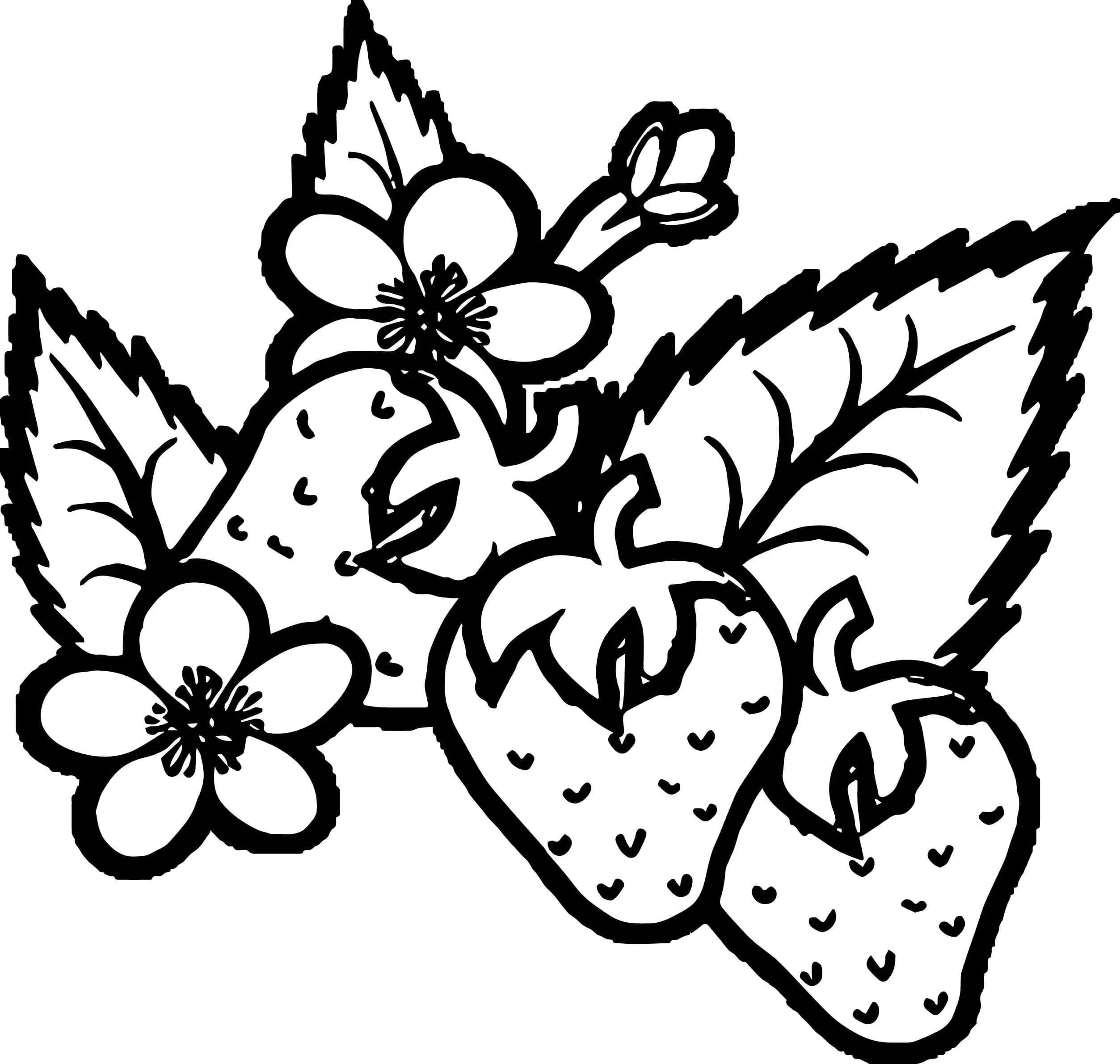 M&ms раскраска. Что нибудь разукрасить. Фломастеры раскраска для детей. Раскраски для девочек фломастерами. Что нибудь разукрасить.