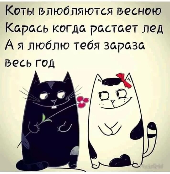 Я люблю тебя вредина картинки. Почти сплю. Улыбнить ведь ы тебя люблю. Люблю тебя зараза. Люблю тебя зараза.