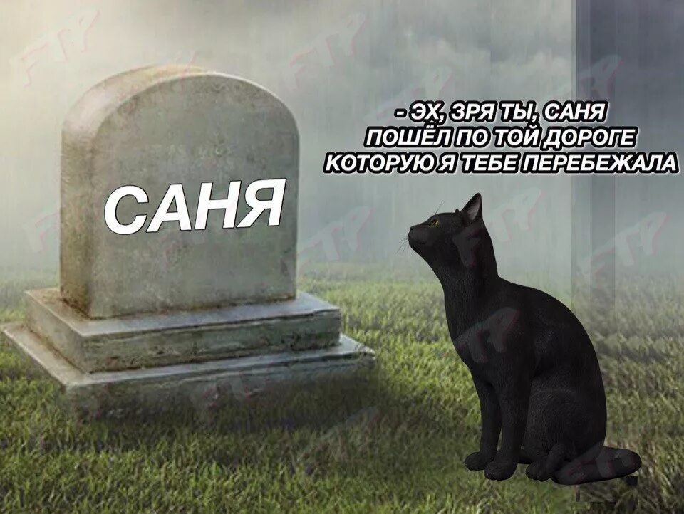 Rip Саня. Приколы про Саню. Памятник Rip. Прикольные картинки про Саню.