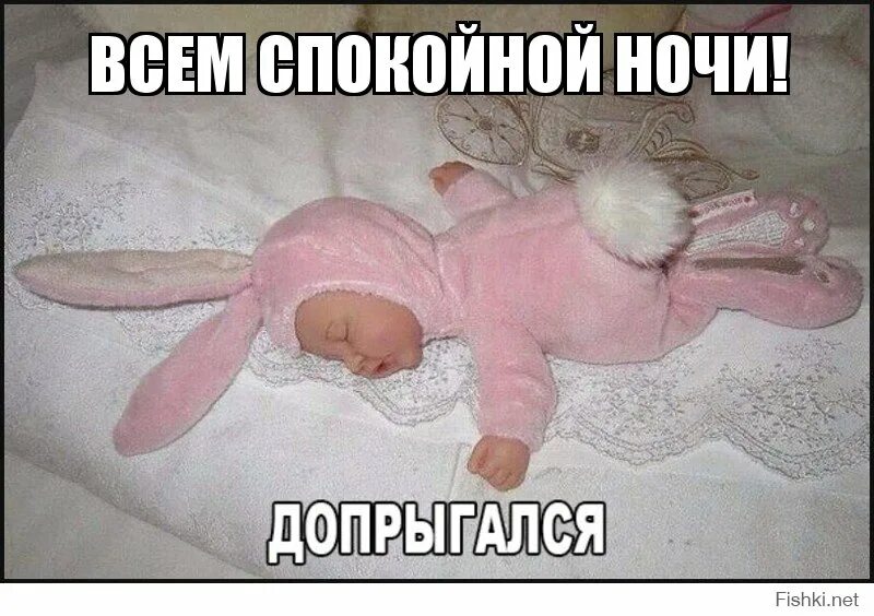 Смешные картинки до слез спокойной ночи. Открытки спокойной ночи. Спокойной ночи животные. Смешные пожелания спокойной ночи. Спокойной ночи картинки прикольные.