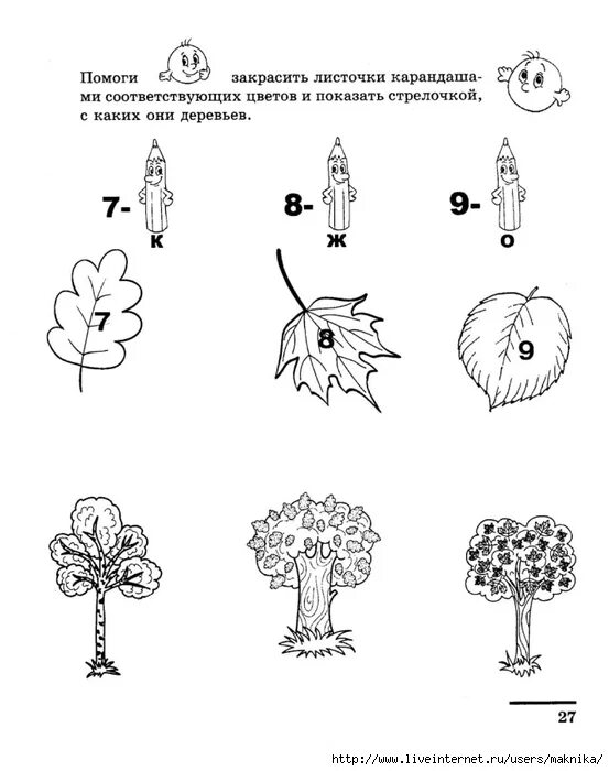 Покажи на схеме при помощи стрелок какое. Математические прописи для детей 5-7 лет Колесникова. Деревья задания для дошкольников. Задания по теме деревья для дошкольников. Деревья и кустарники задания для дошкольников.