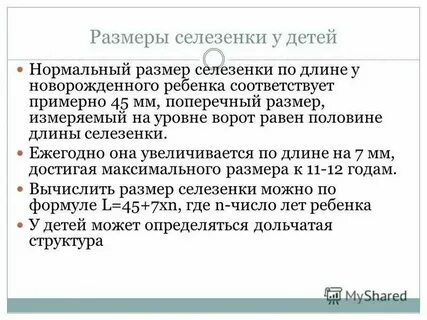 Площадь селезенки норма у взрослых