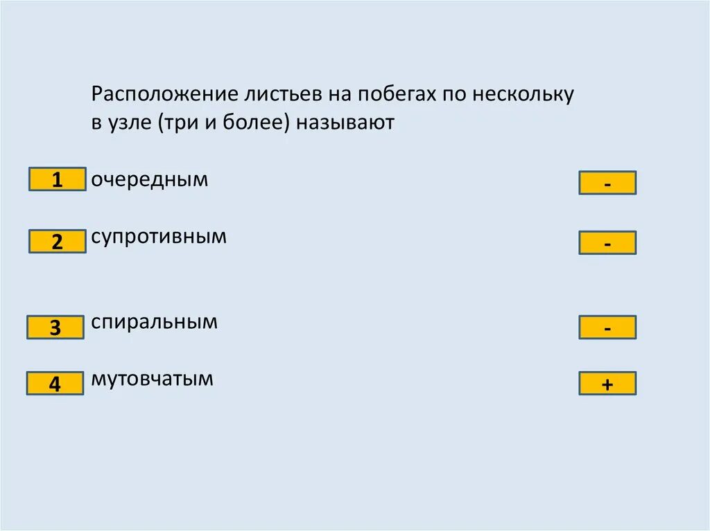 Тест по побегу 6 класс