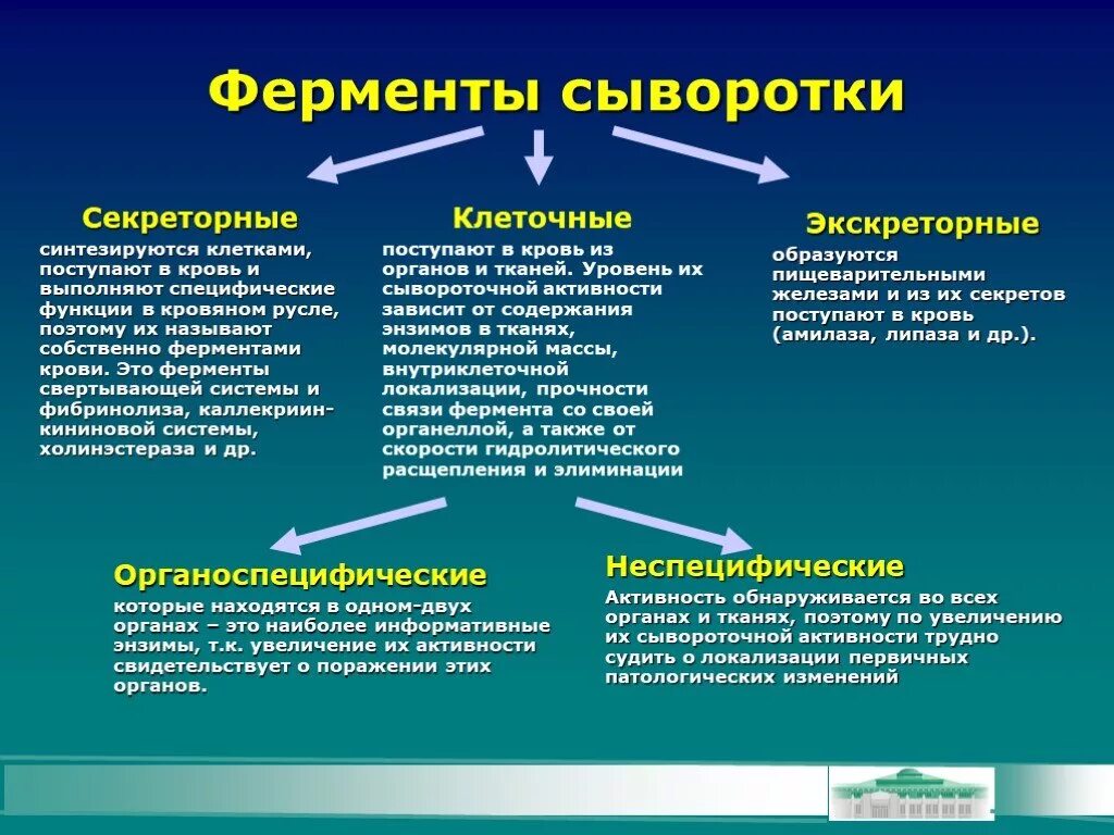 Ферменты сыворотки крови. Экскреторные ферменты сыворотки крови. Группы ферментов сыворотки крови. Индикаторные ферменты сыворотки крови. Активность ферментов в сыворотке крови