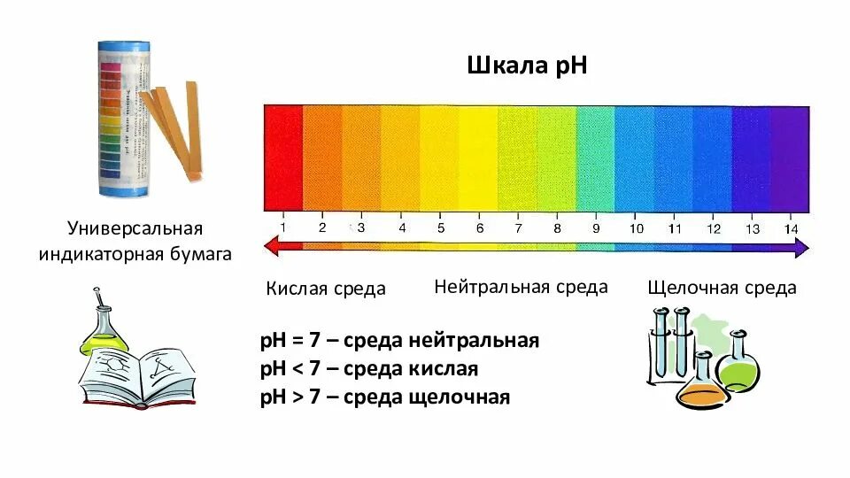 С помощью лакмуса можно различить