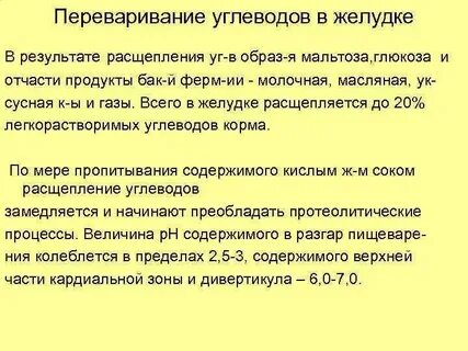 В желудке начинают расщепляться