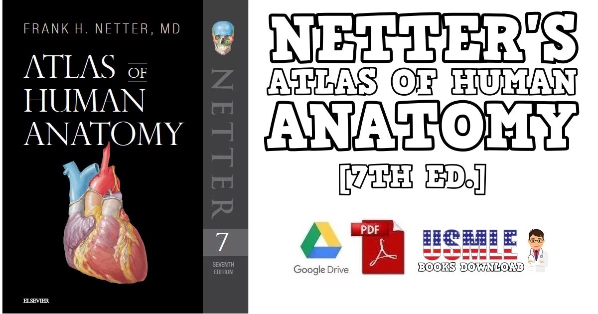 Netter&#039;s atlas. Atlas of human anatomy netter 7th edition. netter&#039;s atlas of human anatomy pdf. atlas of human anatomy 7edition. неттер атлас инфекционных болезней.