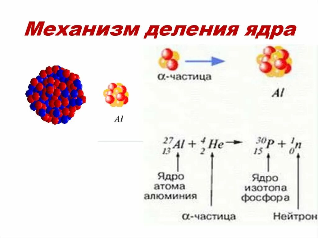 Как идет реакция деления ядер урана. Электрон в ядерных реакциях. Механизм деления ядра. Спонтанное деление ядер. Ядерные реакции деление ядер.