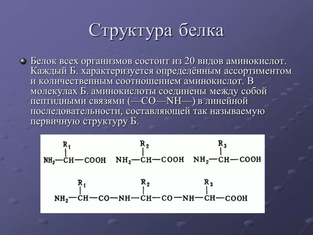 20 альфа аминокислот формулы. Белковыми называют аминокислоты. Белковые протеиногенные аминокислоты. Белки состав и структура аминокислот. Аминокислоты входящие в состав белка таблица.