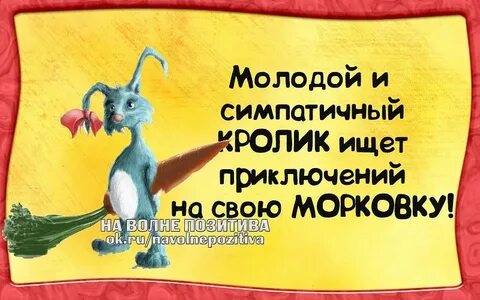 Искать приключения