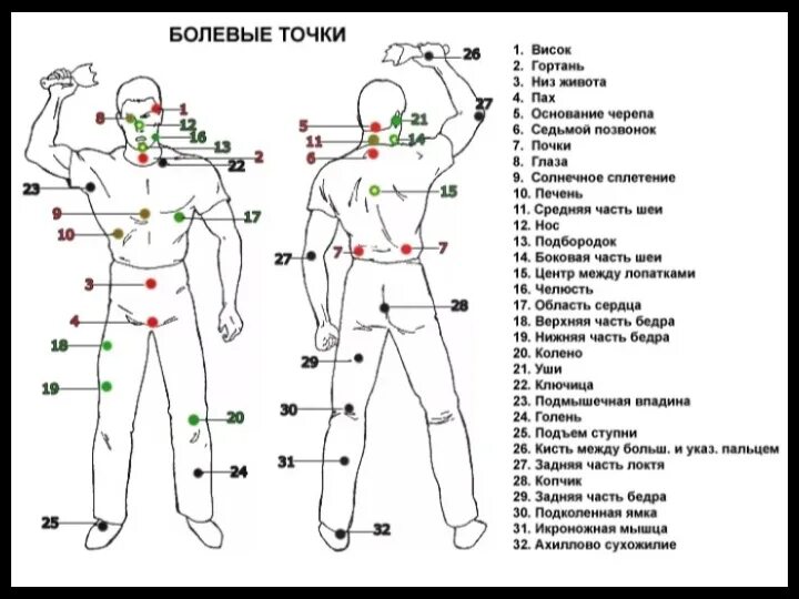 13 точка человека