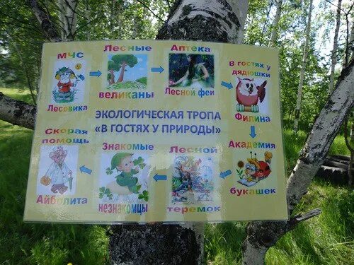 Экотропа в детском саду проект Проект " Паспорт экологической тропы"