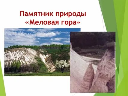 Гора памятник природы