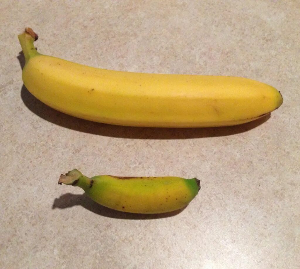 Где купить банан. Банан и мини банан. Бананы Dulcita. Маленькие бананчики. Карликовый банан.