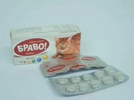 Браво кошки