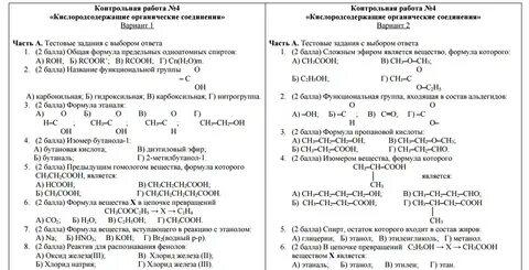 Проверочная работа деятельность человека 10 класс