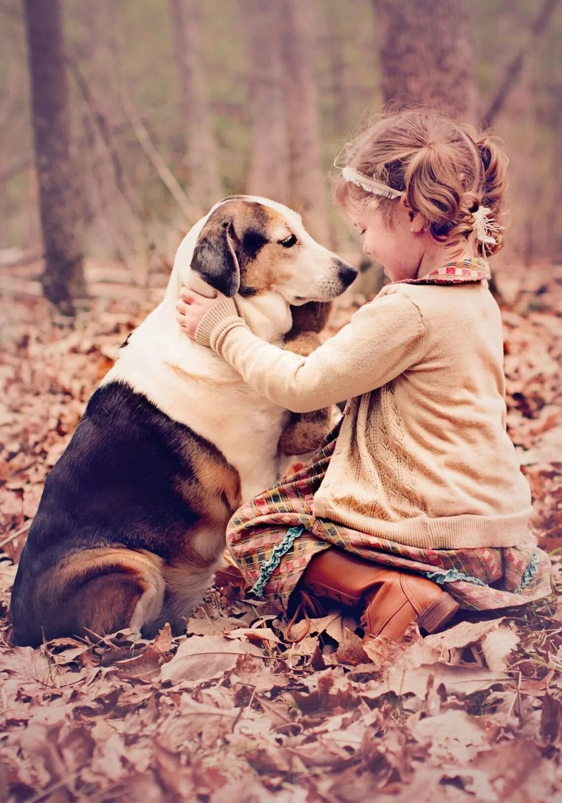 Человек ребенок собака. Собака друг человека. Дружба собаки и человека. Человек с собакой. Собака для детей.