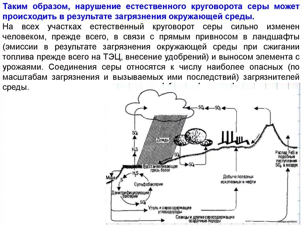 Роль микроорганизмов в круговороте серы. Круговорот серы схема 9 класс биология. Круговорот серы в биосфере схема. Круговорот серы в биосфере. Биохимический цикл серы.