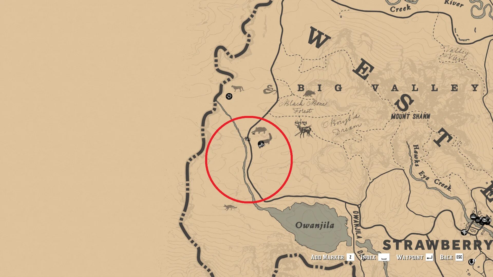 Red dead 2 карта легендарных животных. Rdr 2 легендарная пума на карте. сокровища блэк боун red dead online. red dead redemption 2 карта сокровищ лес блэк боун. rdr 2 легендарный олень на карте.