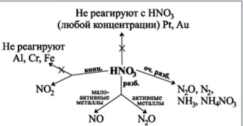 Реакции с серной кислотой концентрированной и разбавленной. Концентрированная и разбавленная азотная кислота с металлами. Взаимодействие концентрированной азотной кислоты с металлами. Схема взаимодействия концентрированной азотной кислоты с металлами. Схема взаимодействия азотной кислоты с металлами.