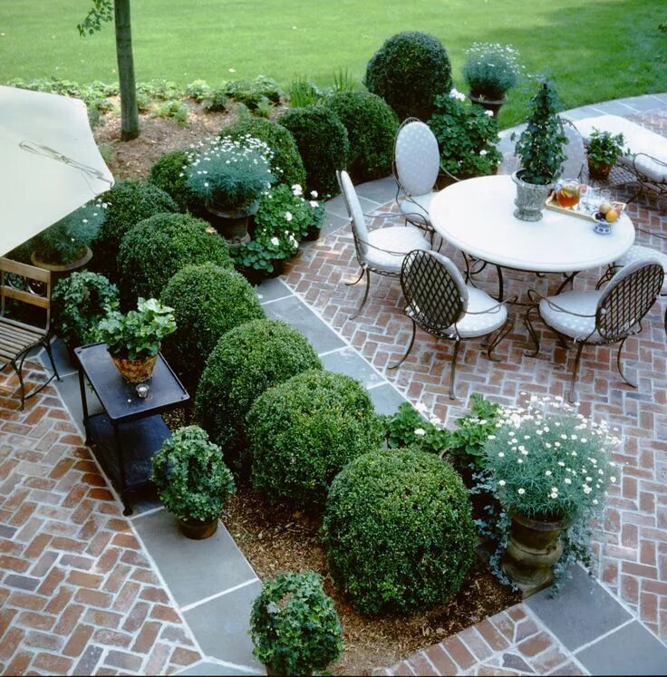 Create Backyard Privacy with a Trellis - Bhgrelife.com Garden trellis designs, P