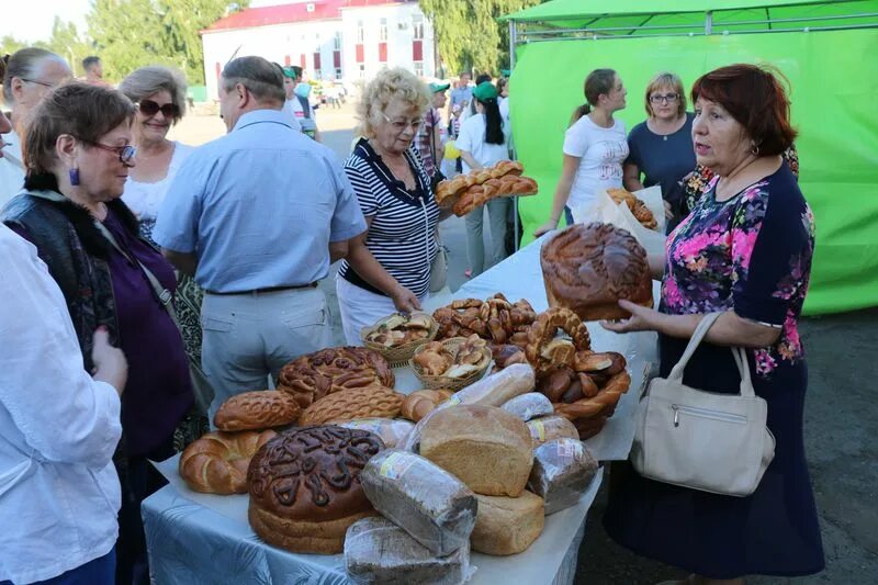 Объявление поспелиха алтайского края