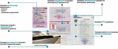 Как проверить подлинность временной регистрации иностранного гражданина